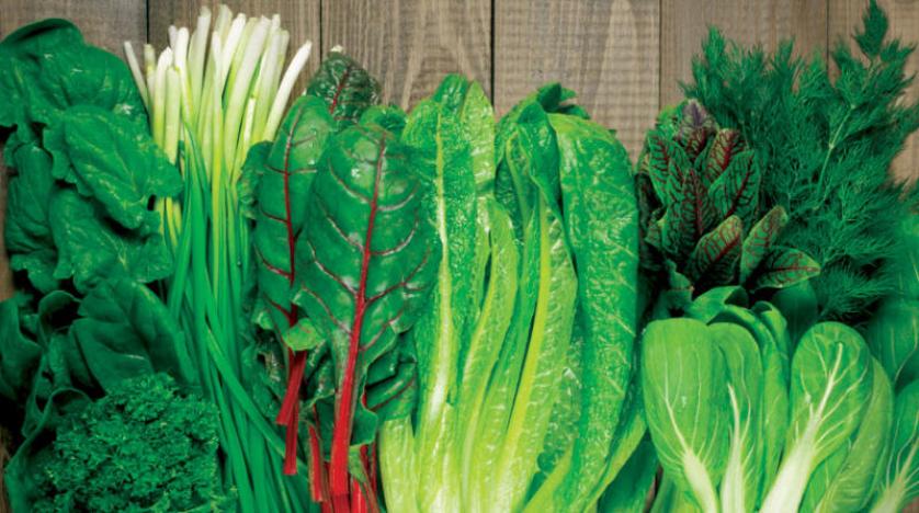 الخضار الورقية - عشرة أطعمة أساسية تخفض من ضغط الدم - Leafy greens - 10 hypertension foods
